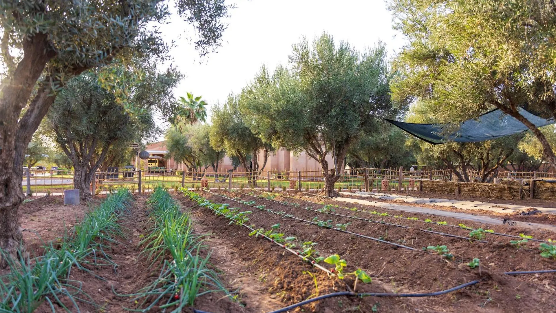 Гостевой дом Villa Serena Marrakech - Maison D'Hotes El Aggada Марокко