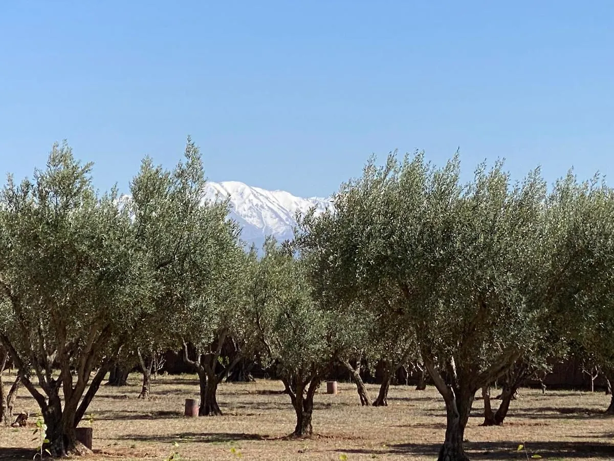 Vendégház Villa Serena Marrakech - Maison D'Hotes El Aggada